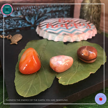 Load image into Gallery viewer, Carnelian Polished Tumbled Stone Healing Crystal - Harness Merece by GTG